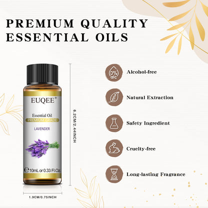 AromaBloom Essential Oil Collection – 10 ml Pure Natural Fragrances for Diffuser & Candle Use
